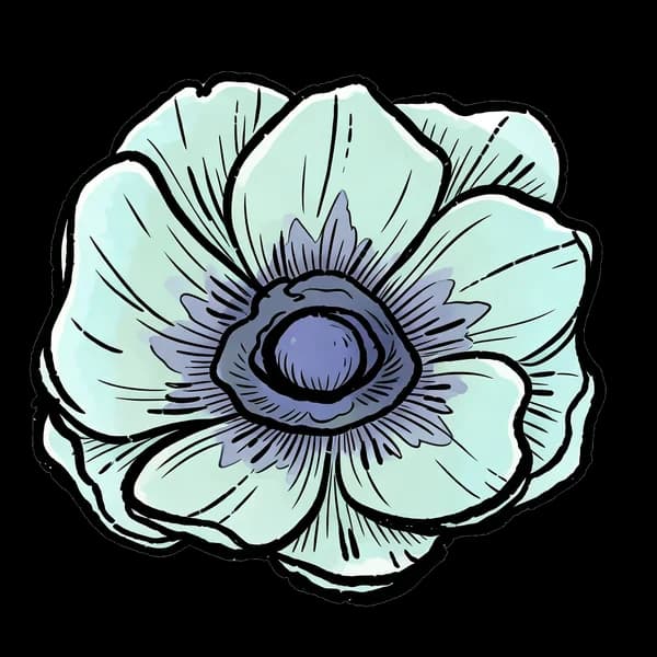 Anemone