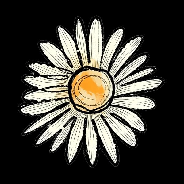 Daisy