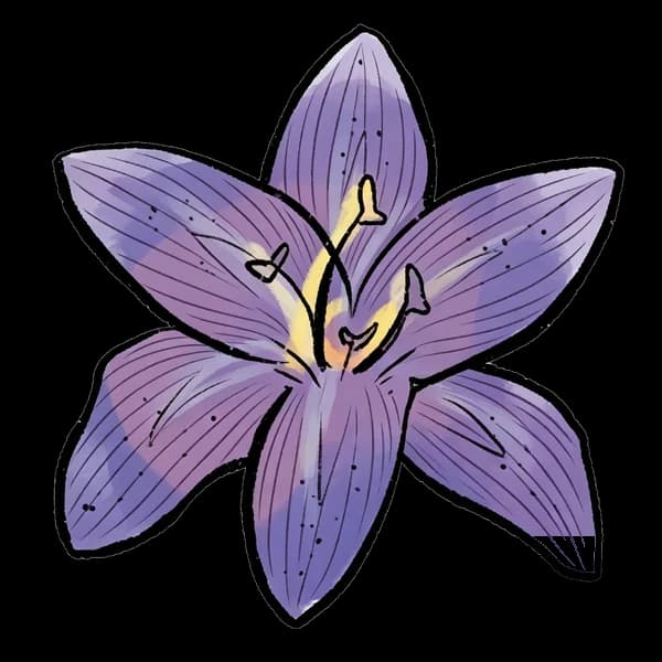 Lily