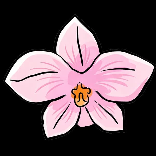 Orchid