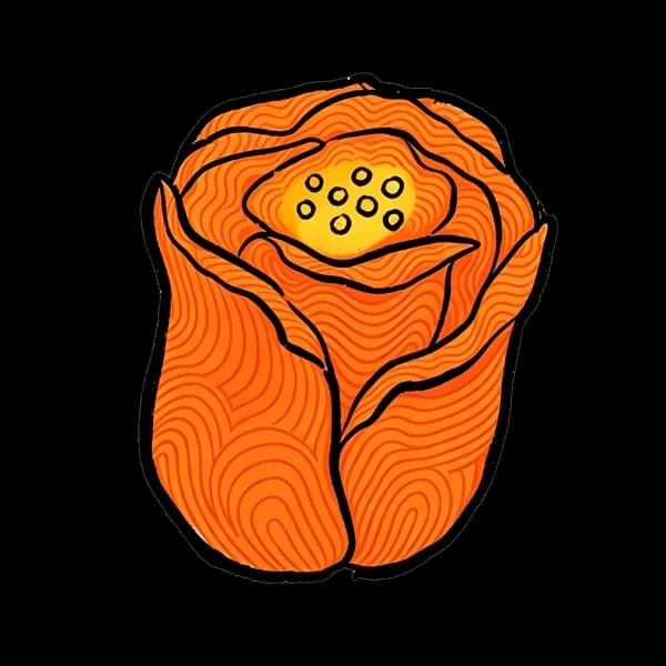Tulip