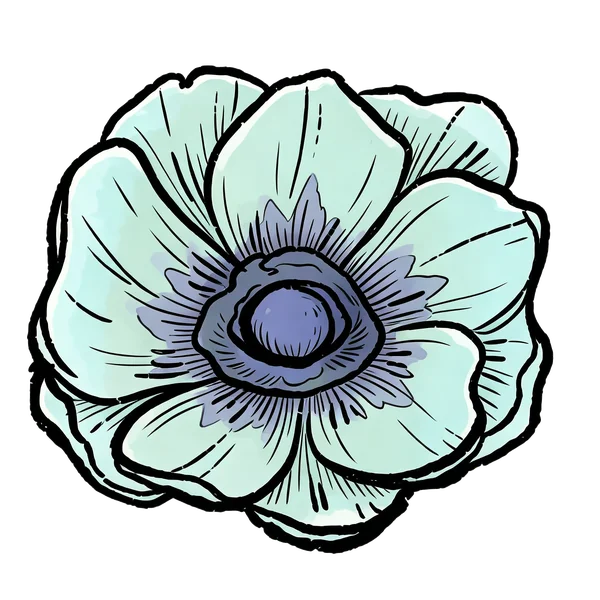 Anemone bouquet
