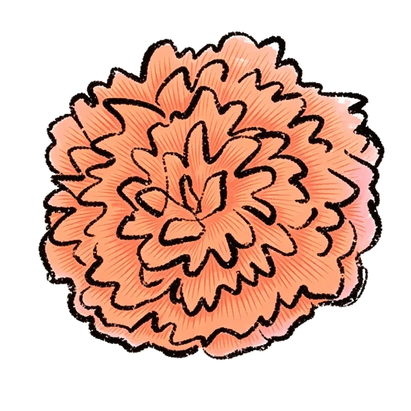 Dahlia bouquet