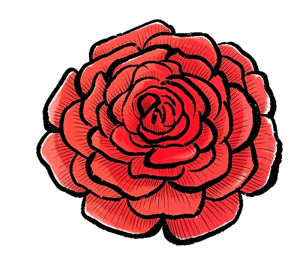 Ranunculus bouquet
